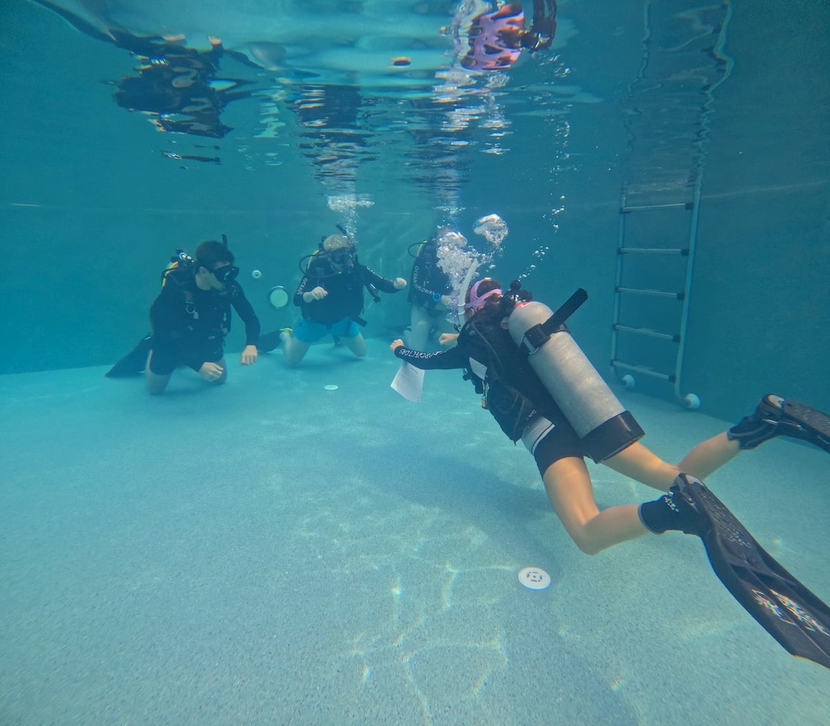 discover scuba diving koh tao