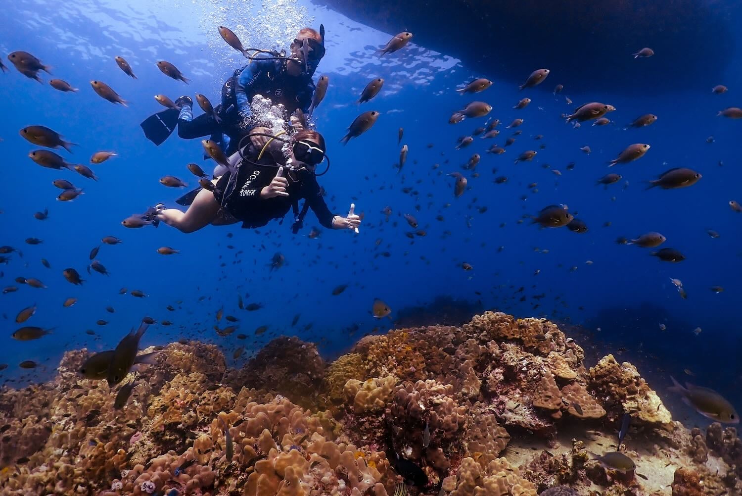 discover scuba diving on koh tao thailand